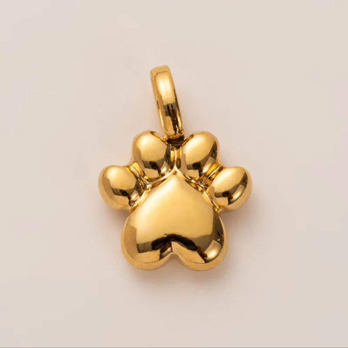 Paws Charm